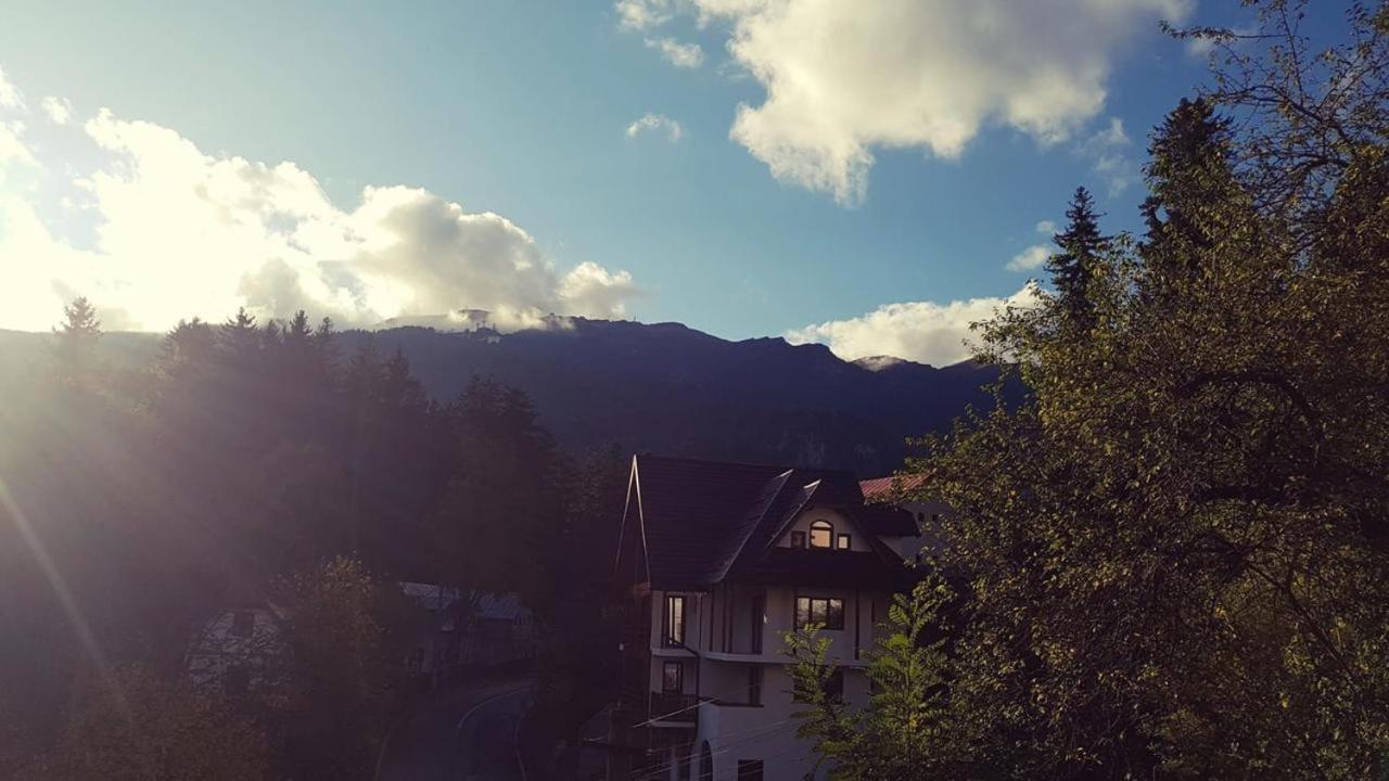 Casa Varful Cu Dor Sinaia Kültér fotó